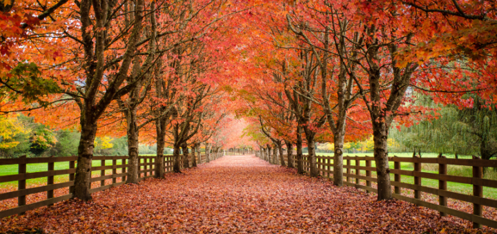 autunno