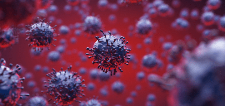 coronavirus
